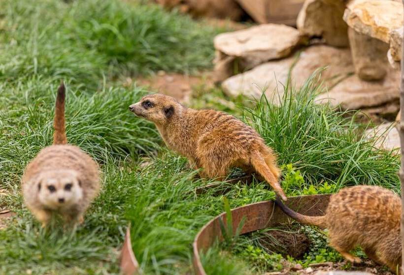 منتجع Natura Fun House & Camping