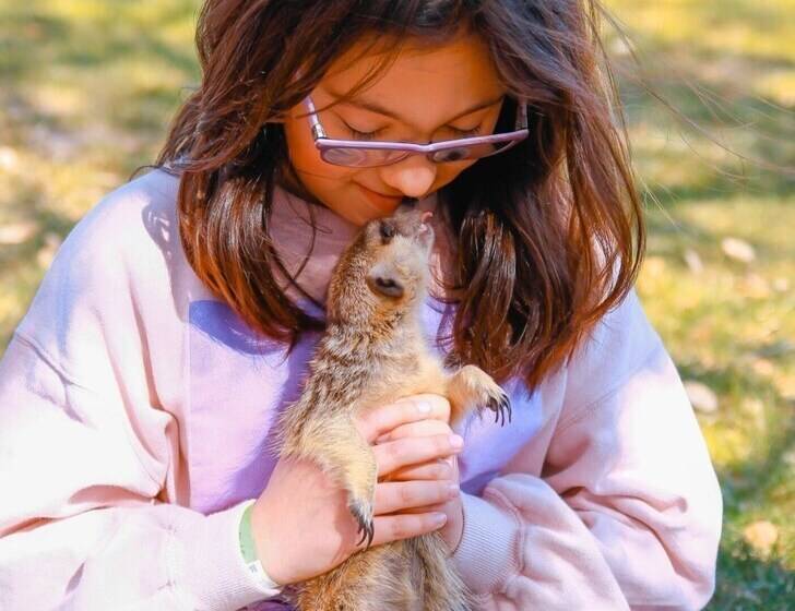 منتجع Natura Fun House & Camping