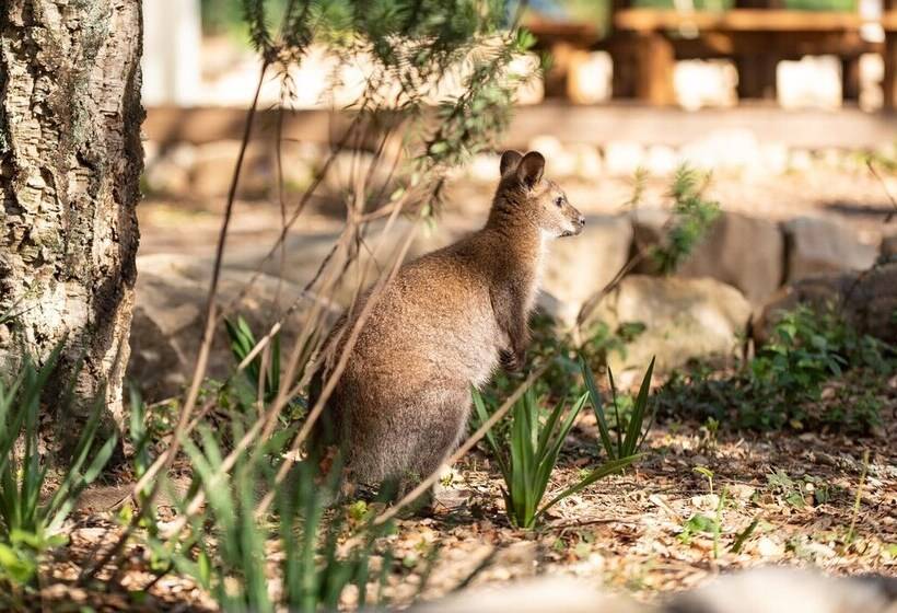 منتجع Natura Fun House & Camping