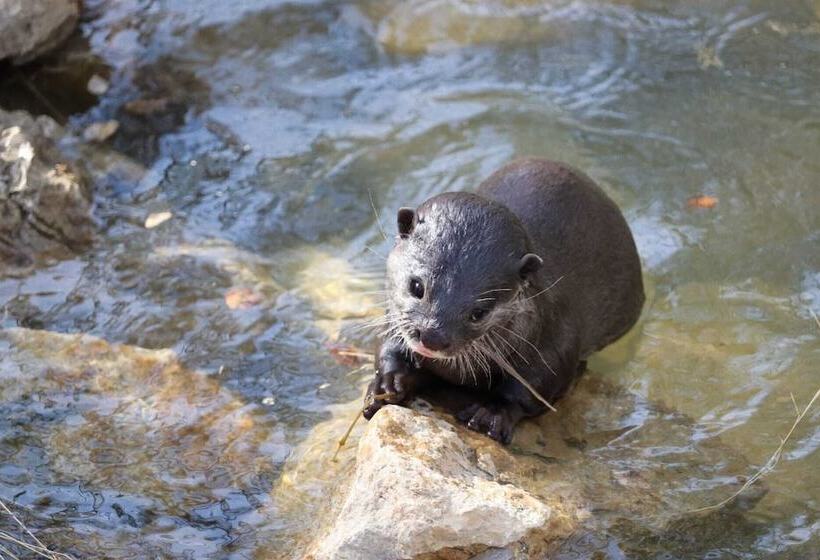 منتجع Natura Fun House & Camping