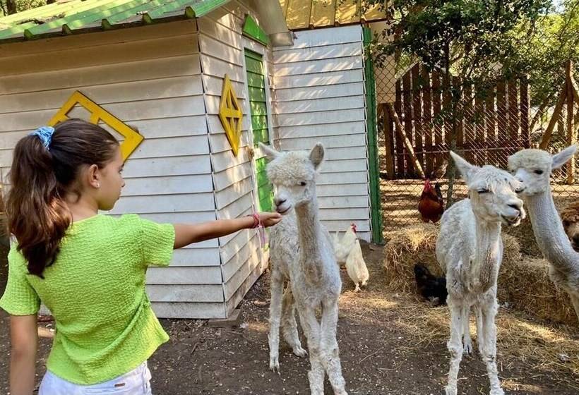 منتجع Natura Fun House & Camping