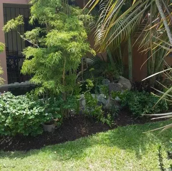 تختخواب و صبحانه Rafjam New Kingston