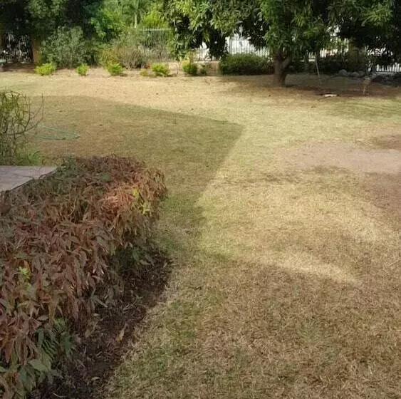 تختخواب و صبحانه Rafjam New Kingston