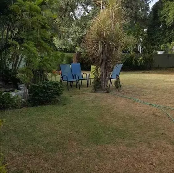 تختخواب و صبحانه Rafjam New Kingston