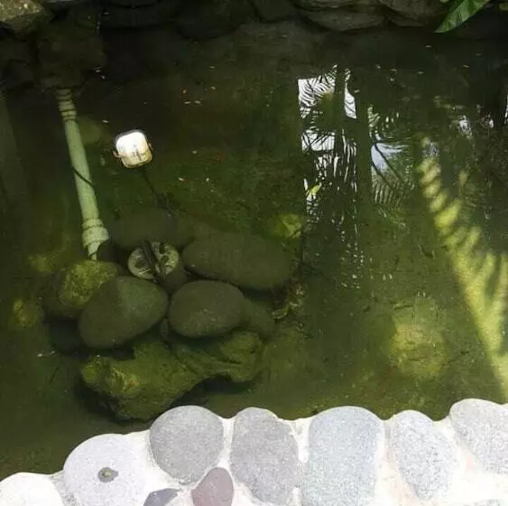 تختخواب و صبحانه Rafjam New Kingston