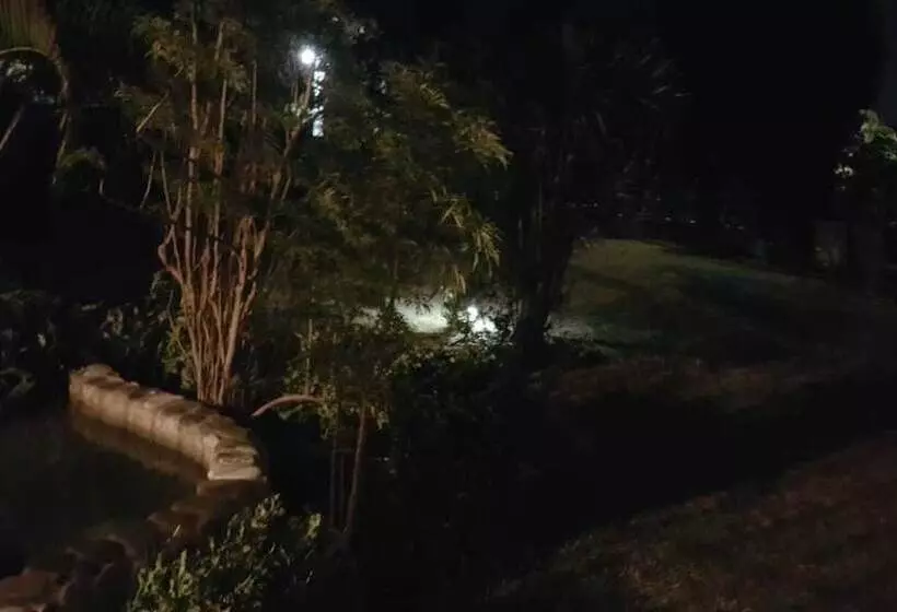 تختخواب و صبحانه Rafjam New Kingston