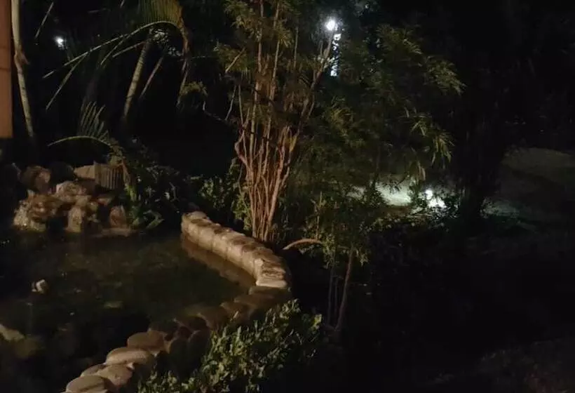 تختخواب و صبحانه Rafjam New Kingston