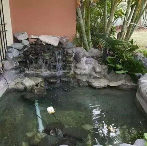 تختخواب و صبحانه Rafjam New Kingston