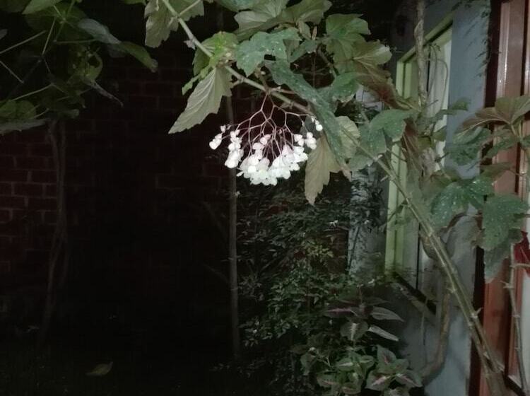 Bed & Breakfast De Kike