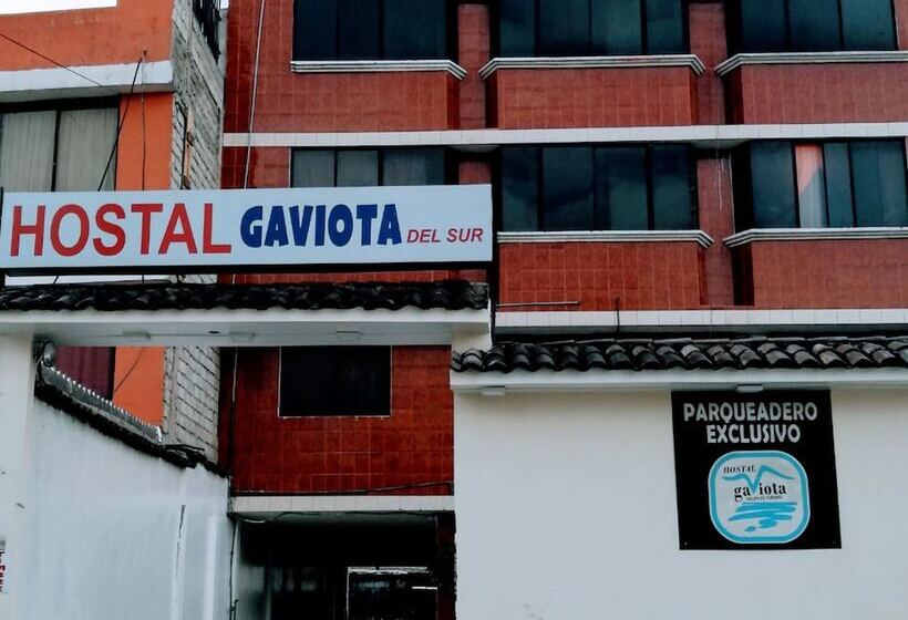 Hostal Gaviota Del Sur Tres