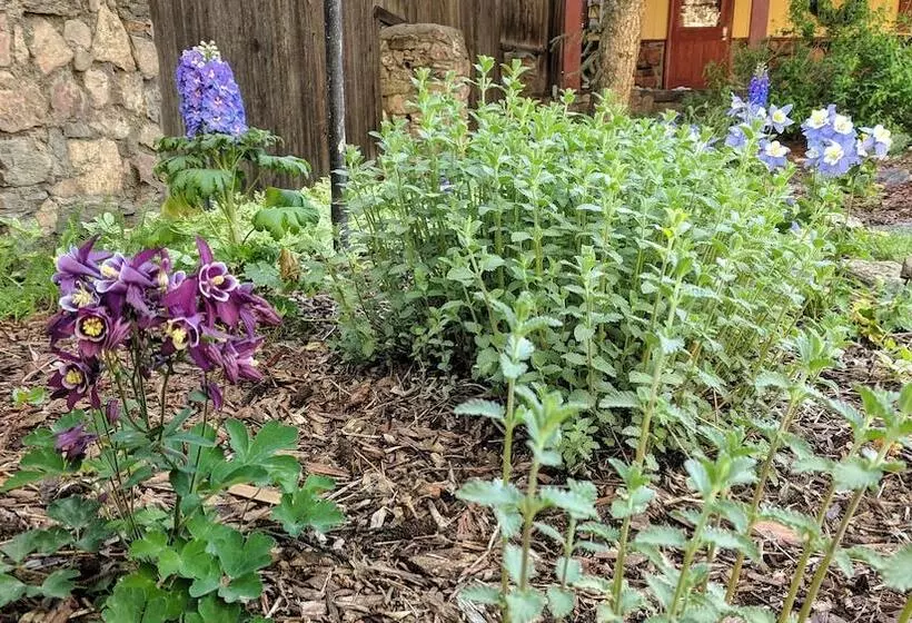 Hotelli Alpen Way Chalet Mountain Lodge