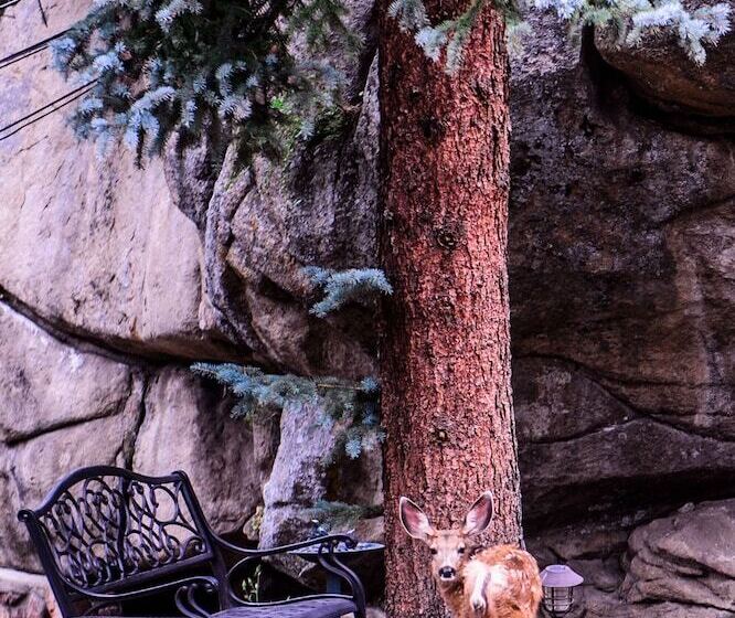 Hotel Alpen Way Chalet Mountain Lodge