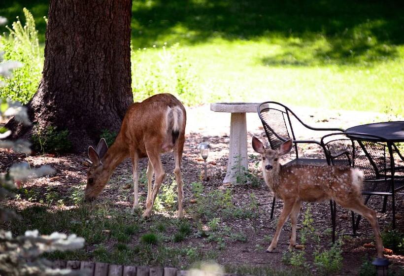 Hotel Alpen Way Chalet Mountain Lodge