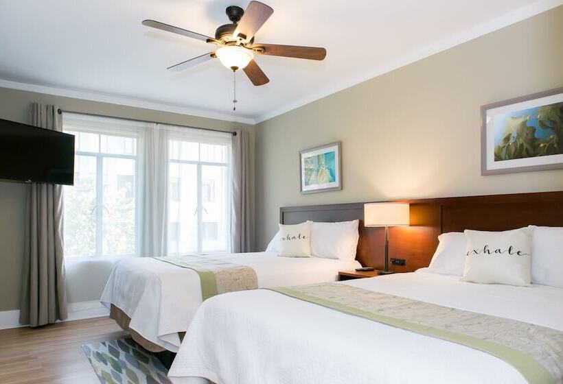 בית מלון כפרי Metropolitan