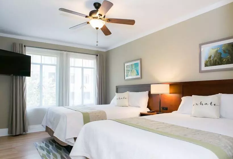 ホテル Metropolitan