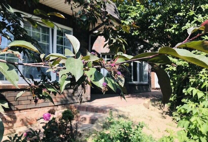 בית מלון כפרי Zvezdnaya