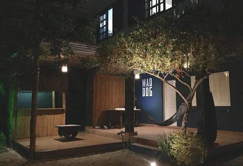 Mad Dog Hostel