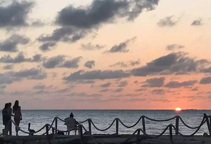 Mistica Island Hostel   Isla Palma