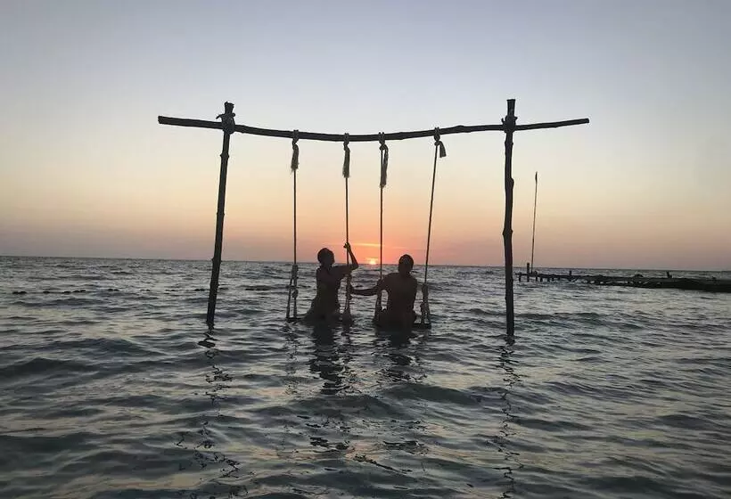 Mistica Island Hostel   Isla Palma