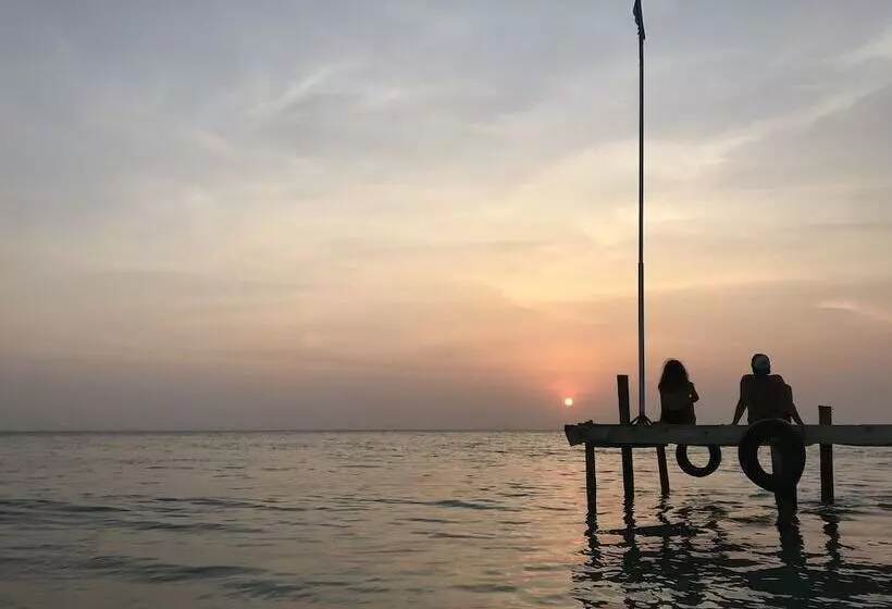 Mistica Island Hostel   Isla Palma