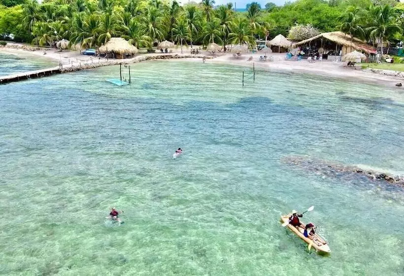 Mistica Island Hostel   Isla Palma