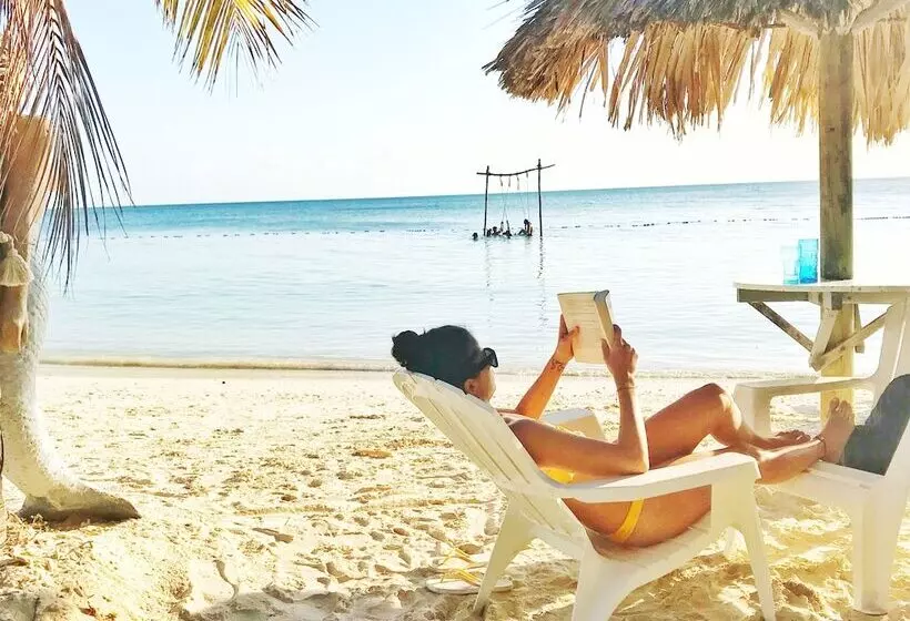 Mistica Island Hostel   Isla Palma