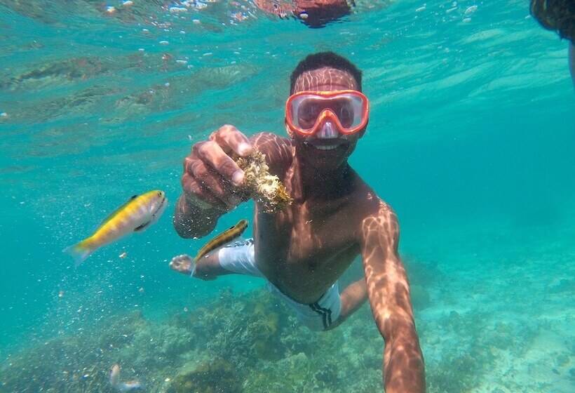 Mistica Island Hostel Isla Palma