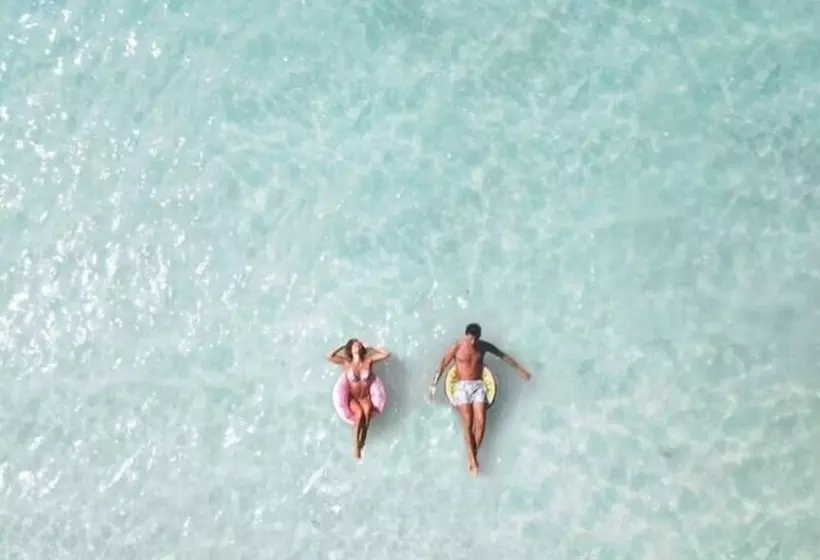 Mistica Island Hostel   Isla Palma