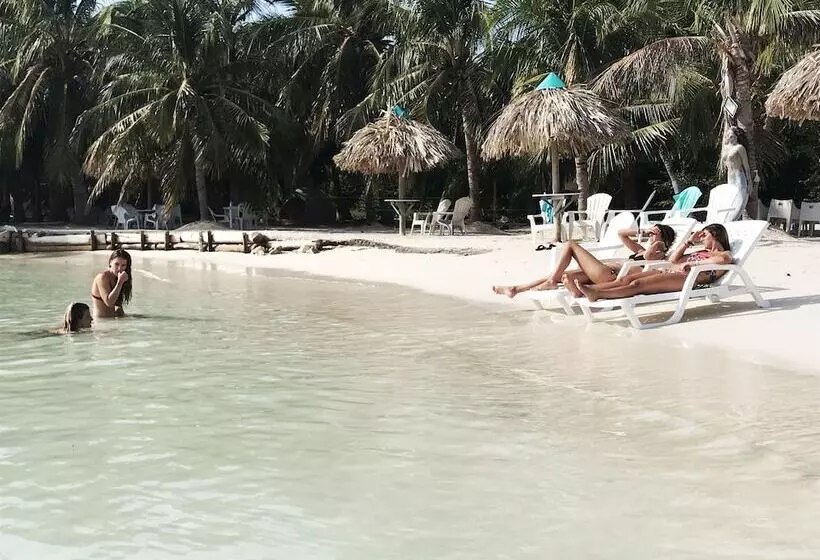 Mistica Island Hostel   Isla Palma