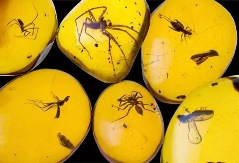 پانسیون Diamonds Hotel Boutique