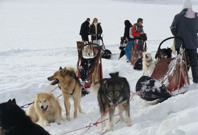 פנסיון Gîte Auberge De Montvilliers