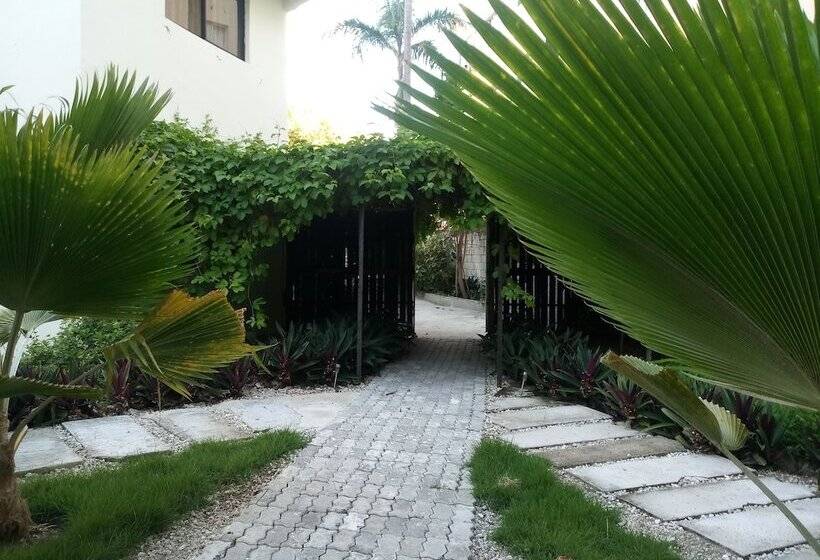 پانسیون Honky Tonk Punta Cana