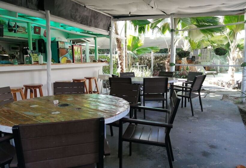 پانسیون Honky Tonk Punta Cana