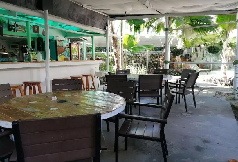 پانسیون Honky Tonk Punta Cana