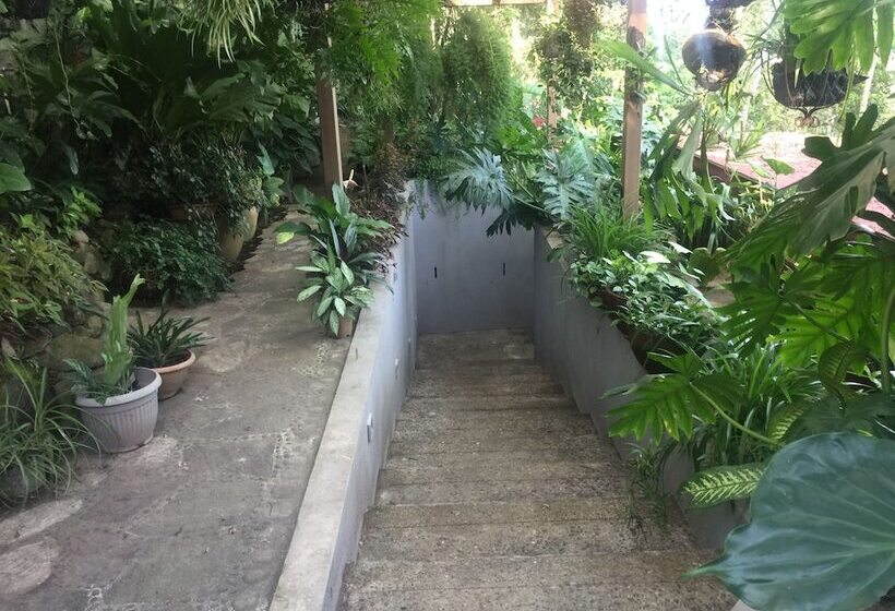 تختخواب و صبحانه Hacienda San Miguel Bed&breakfast