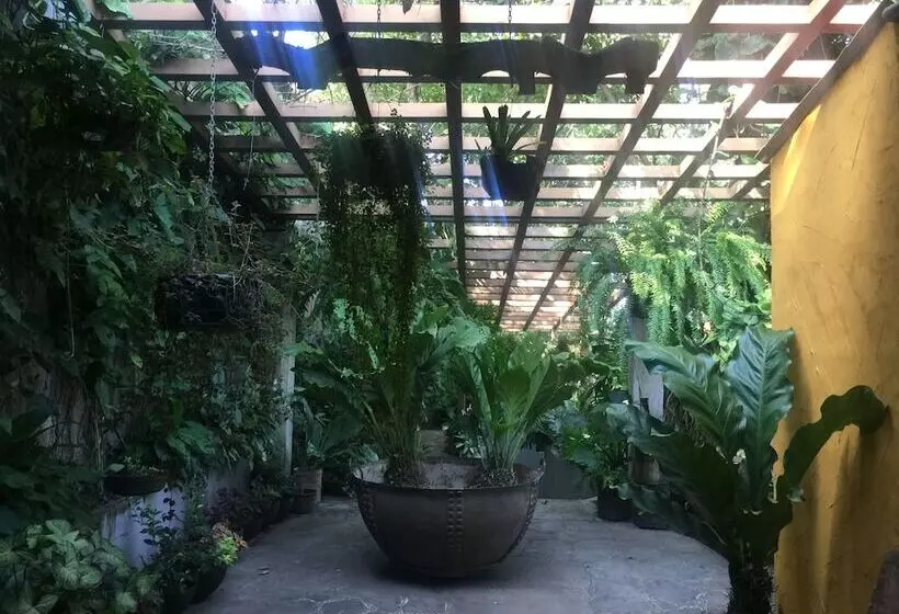 تختخواب و صبحانه Hacienda San Miguel Bed&breakfast