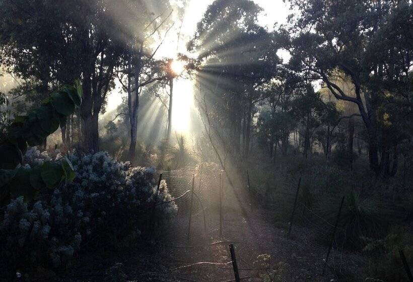 Chalets On Stoneville