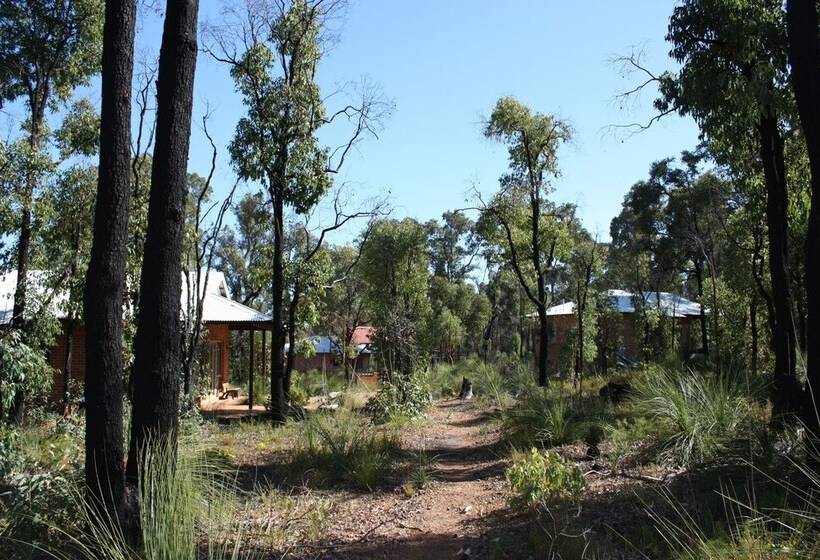 Chalets On Stoneville