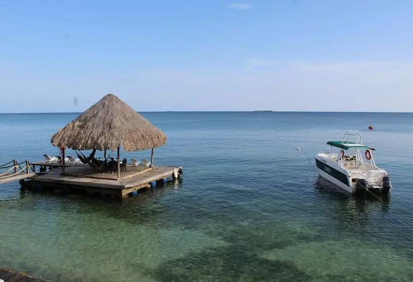 Eco Hotel Casa Blanca