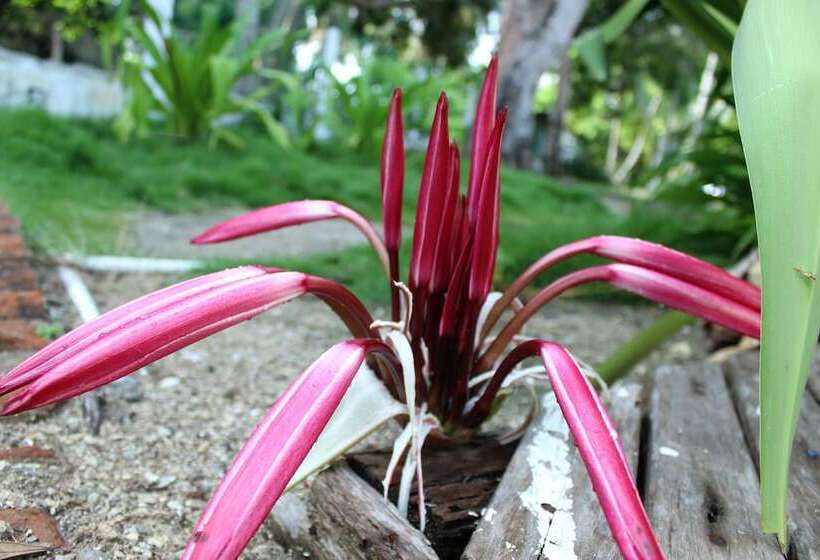 Eco Hotel Casa Blanca