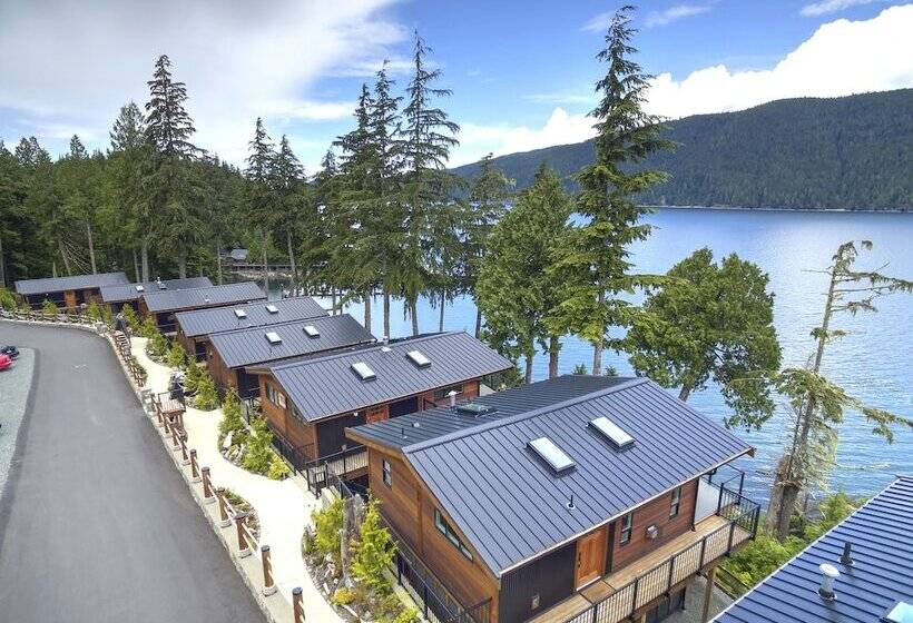 Handsome Dan's Port Renfrew