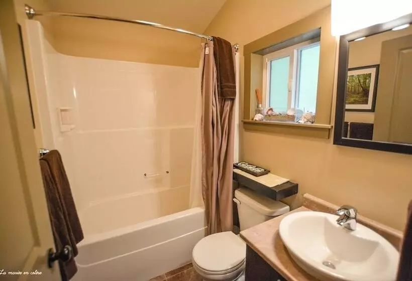 Handsome Dan's Port Renfrew