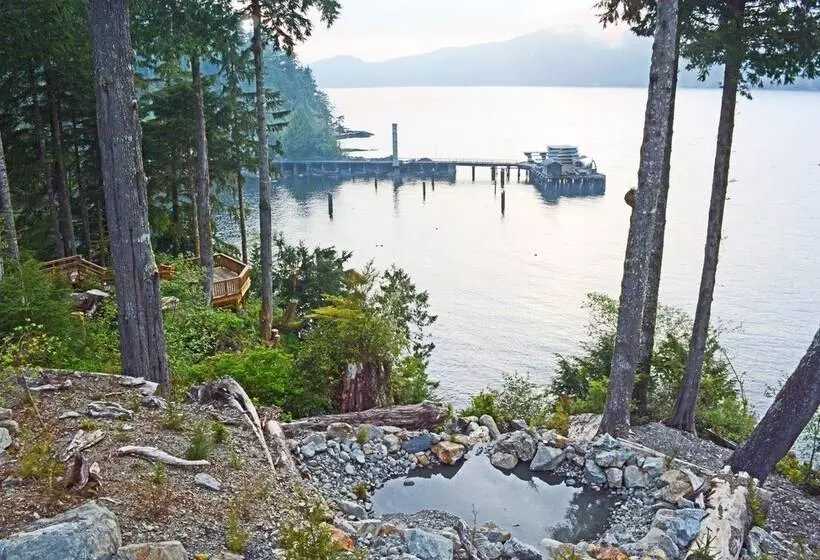 Handsome Dan's Port Renfrew