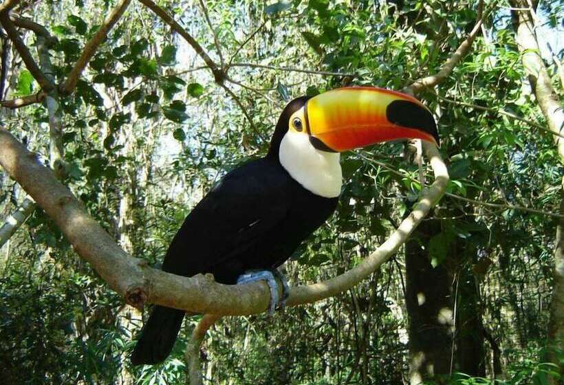 Отель Refúgio Da Lua