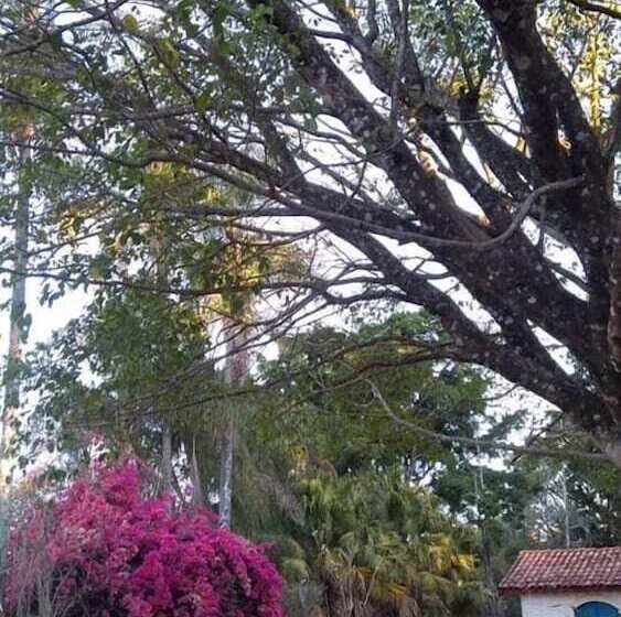 Отель Refúgio Da Lua