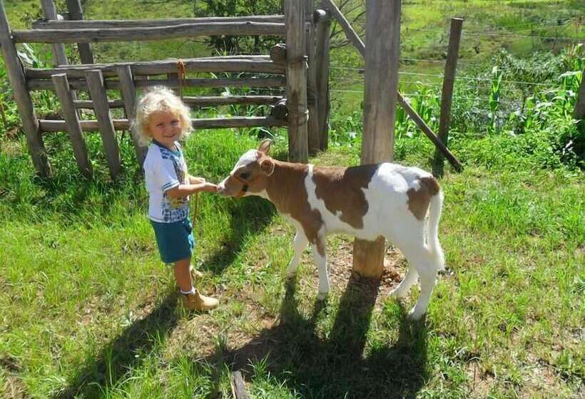 호텔 Refúgio Serra Negra