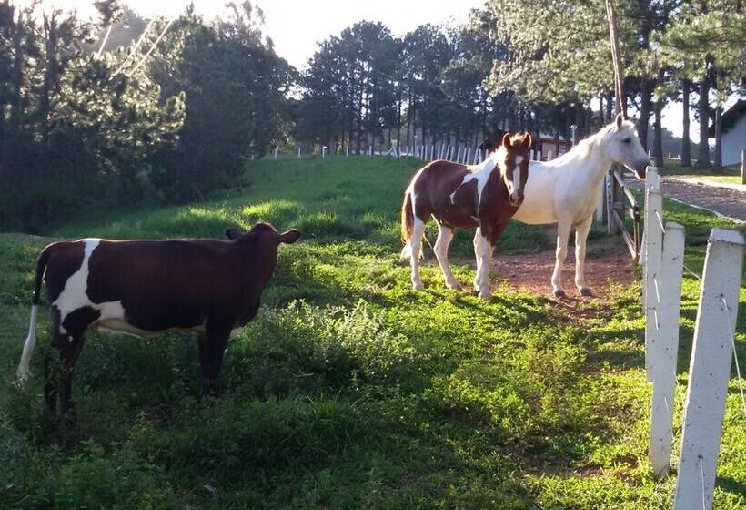 호텔 Refúgio Serra Negra