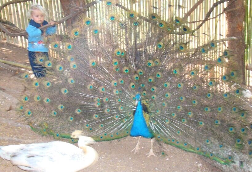 호텔 Refúgio Serra Negra