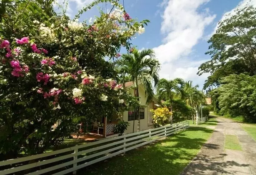 Kingsville Apartments