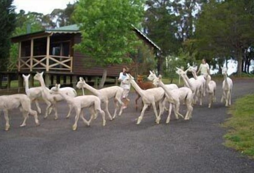 Madison's Mountain Retreat